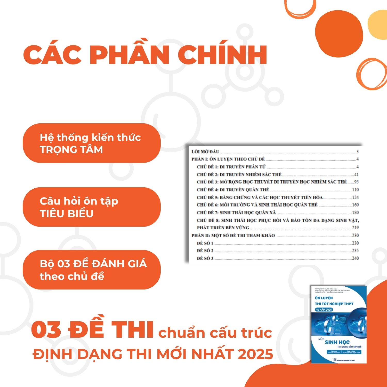 Ảnh minh họa nhỏ
